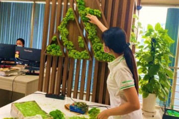 Hướng dẫn thi công tường rêu giả cực đơn giản